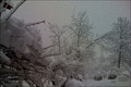 Neuschneebilder aus der Schweiz