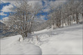 Neuschneebilder aus der Schweiz