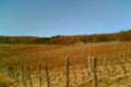 Sonne im Süden und Westen Deutschlands