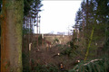 Januar-Rückblick in Bildern