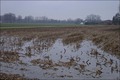 Januar-Rückblick in Bildern