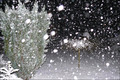 Wintereinbruch im Westen