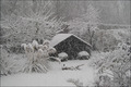 Aktion Winter-Erinnerungen - 2005/2006