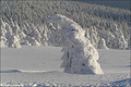 Aktion Winter-Erinnerungen - 2005/2006