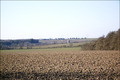 Sonnige Februarimpressionen
