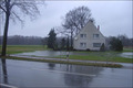 Viel Raureif und Frühlingsgefühle - Winter 2007/2008