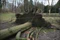 Der März 2008 in Bildern
