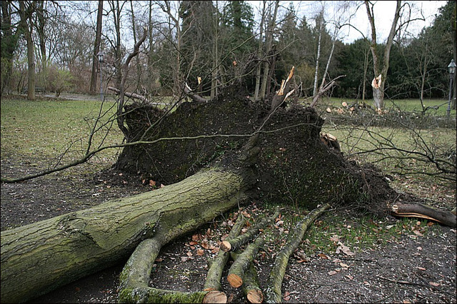 Der März 2008 in Bildern