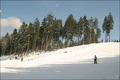 Der März 2008 in Bildern