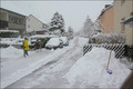 Der März 2008 in Bildern