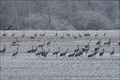 Der März 2008 in Bildern
