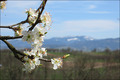 Ein Frühlingssonntag im März