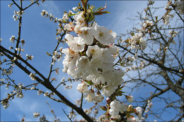 Der April in Bildern
