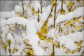 Der April in Bildern