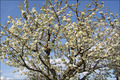 Der April in Bildern
