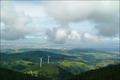 Mai-Rückblick in Bildern
