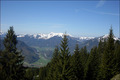 Bildschön: Der Frühling 2008