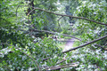 Tornadoschäden in Burbach-Dresselndorf