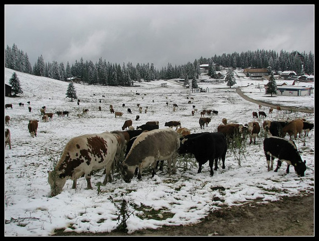 Der erste Schnee in den Alpen - Vorfreude auf den Winter