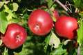 Der September in Bildern