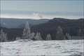 Schnee im Hochschwarzwald