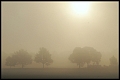 Die Sonne durchbricht den Nebel