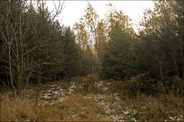 Der erste Schnee im Erzgebirge