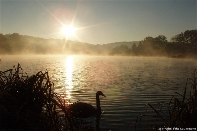 Hinreißende Morgenstimmung