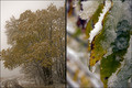 Winterstimmung im Harz und im Erzgebirge