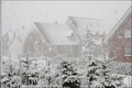 Jahrestag: Schneechaos im Münsterland