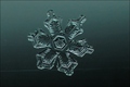 Verborgener Winterzauber - Schnee
