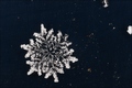 Verborgener Winterzauber - Schnee