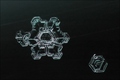 Verborgener Winterzauber - Schnee