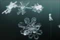 Verborgener Winterzauber - Schnee
