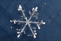 Verborgener Winterzauber - Schnee