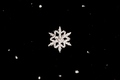 Verborgener Winterzauber - Schnee