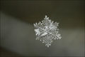 Verborgener Winterzauber - Schnee