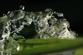 Verborgener Winterzauber - Schnee