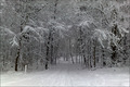 Viel Schnee zum Berufsverkehr