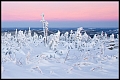 Wintermorgen auf dem Fichtelberg