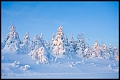 Wintermorgen auf dem Fichtelberg