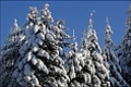 Zauberhafte Schneelandschaften