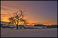Zauberhafte Schneelandschaften
