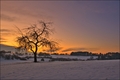 Zauberhafte Schneelandschaften