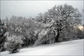 Zauberhafte Schneelandschaften