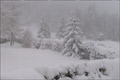 Neuschnee in den Nordalpen