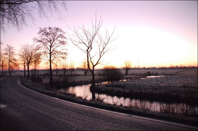 Wintermorgen in der Elbmarsch