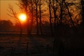 Wintermorgen in der Elbmarsch