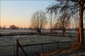 Wintermorgen in der Elbmarsch
