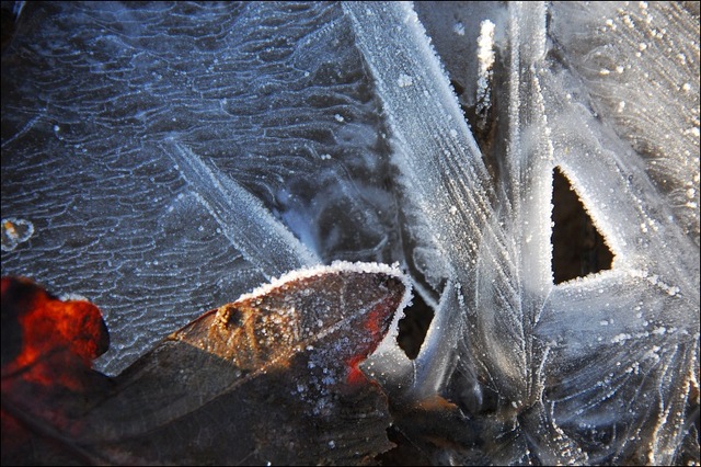 Wenn der Frost zaubert ...
